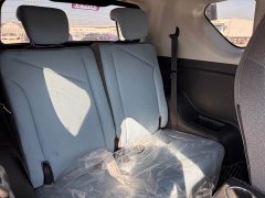 Chery Ant Sweet Pink Micro Sugar Phosphate Iron Lithium 30kW 301km - ფოტო 10