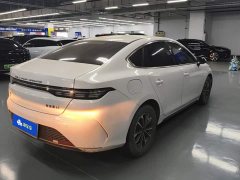BYD Destroyer 05 2023 Champion Edition DM-i 55KM Luxury - ფოტო 3