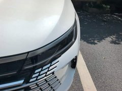 BYD Destroyer 05 2023 Champion Edition DM-i 55KM Luxury - ფოტო 5
