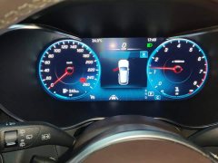 Mercedes-Benz GLC 300 L 4MATIC Dynamic - ფოტო 14