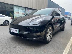 Tesla Model Y Long Range All-Wheel Drive - ფოტო 1