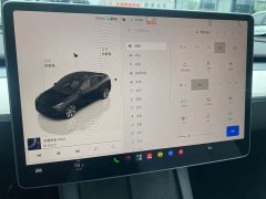 Tesla Model Y Long Range All-Wheel Drive - ფოტო 15