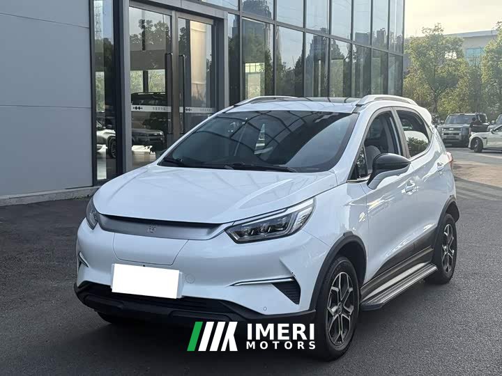 BYD Yuan Pro 2021 401KM Deluxe - ავტომობილი ჩინეთიდან