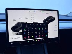 Tesla Model Y 2023 Rear-Wheel Drive - ფოტო 15
