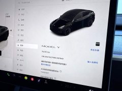 Tesla Model Y 2023 Rear-Wheel Drive - ფოტო 19