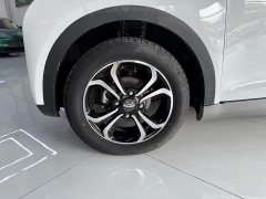 Chery Ant 150,000 Ant Fan Edition Cool Version LFP Battery - ფოტო 11