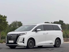 Denza BYD Denza D9 2022 EV 600 AWD Flagship - ფოტო 1
