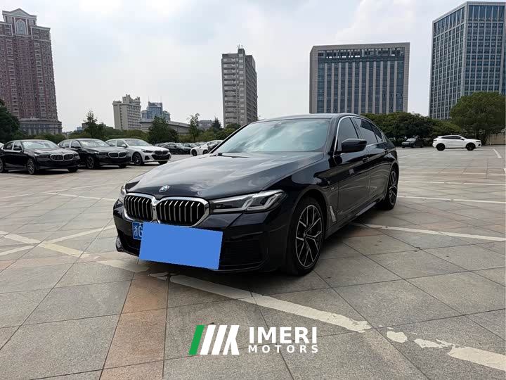 BMW 5 Series Facelift 530Li Luxury M Sport Package
