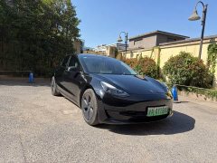 Tesla Model 3 Rear-Wheel Drive - ფოტო 3