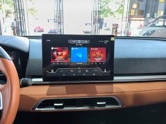 BYD e2 Luxury - ფოტო 13