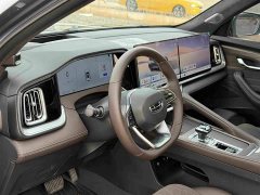 Geely Xingyue L Oriental Radiance 2.0T Automatic Moonlight Edition - ფოტო 11