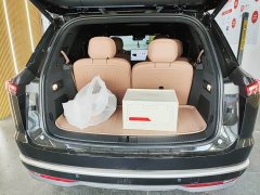 Nio Lerado L90 Max Six-Seater - ფოტო 4