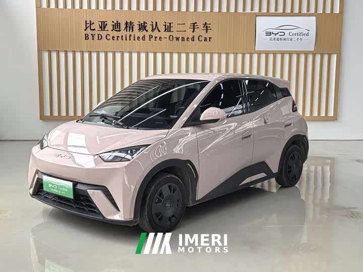 BYD Seagull Glory Edition 305km Vitality Version - ავტომობილი ჩინეთიდან