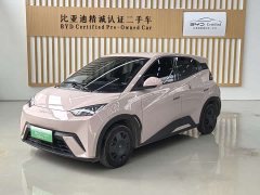 BYD Seagull Glory Edition 305km Vitality Version - ფოტო 1