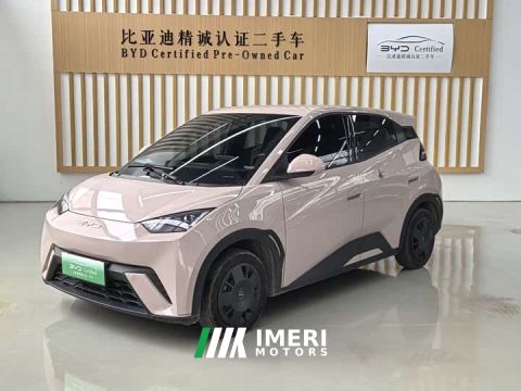 2024 BYD Seagull Glory Edition 305km Vitality Version