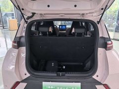 BYD Seagull Glory Edition 305km Vitality Version - ფოტო 11