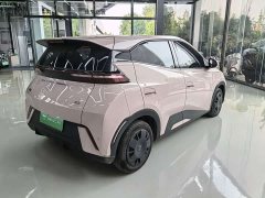 BYD Seagull Glory Edition 305km Vitality Version - ფოტო 12