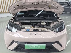 BYD Seagull Glory Edition 305km Vitality Version - ფოტო 17