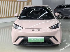 BYD Seagull Glory Edition 305km Vitality Version - ფოტო 2
