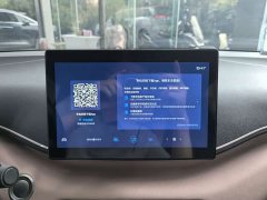BYD Seagull Glory Edition 305km Vitality Version - ფოტო 6