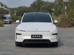 Tesla Model Y Facelift Long Range Rear-Wheel Drive - ფოტო 2