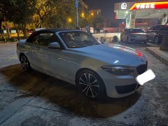 BMW 2 Series (Imported) 2019 225i Convertible Coupe Luxury M Sport Package - ფოტო 2