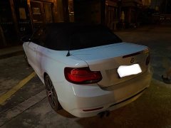 BMW 2 Series (Imported) 2019 225i Convertible Coupe Luxury M Sport Package - ფოტო 8