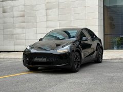 Tesla Model Y 2023 Rear-Wheel Drive - ფოტო 1