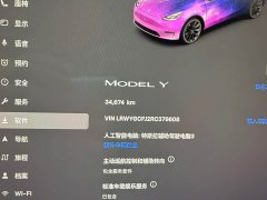 Tesla Model Y 2023 Rear-Wheel Drive - ფოტო 11