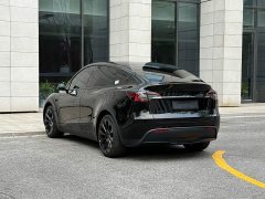 Tesla Model Y 2023 Rear-Wheel Drive - ფოტო 17