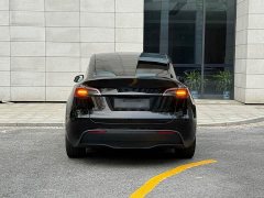 Tesla Model Y 2023 Rear-Wheel Drive - ფოტო 19