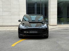 Tesla Model Y 2023 Rear-Wheel Drive - ფოტო 2