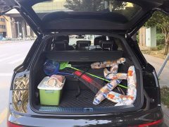 Audi Q5L 45th Anniversary Edition 40 TFSI Luxury Dynamic - ფოტო 4