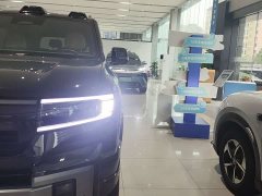 Fangchengbao Leopard 8 2025 Zhiyong Flagship Edition 7-Seater - ფოტო 8