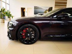 Bentley Continental Plug-in Hybrid GT Ultimate Edition - ფოტო 13