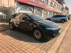Tesla Model Y L Long Range All-Wheel Drive - ფოტო 9