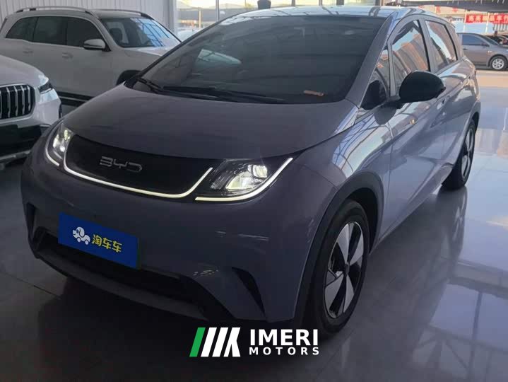 BYD Dolphin 420km Fashion Edition - ავტომობილი ჩინეთიდან