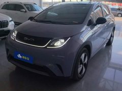 BYD Dolphin 420km Fashion Edition - ფოტო 1