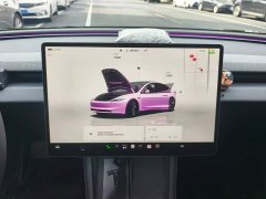 Tesla Model 3 2023 Rear-Wheel Drive - ფოტო 13