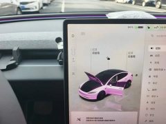 Tesla Model 3 2023 Rear-Wheel Drive - ფოტო 16