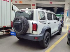 Tank 300 Off-Road Edition 2.0T Conqueror - ფოტო 3