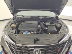 Changan Eado Enjoy Plus Blue Whale NE 1.4T GDI DCT Luxury Edition - ფოტო 10