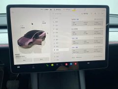 Tesla Model Y Rear-Wheel Drive - ფოტო 11