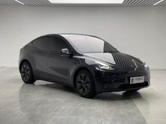 Tesla Model Y Rear-Wheel Drive - ფოტო 3