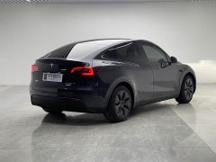 Tesla Model Y Rear-Wheel Drive - ფოტო 6