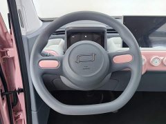 FAW Besturn Xiaoma 222km Agile Edition - ფოტო 11