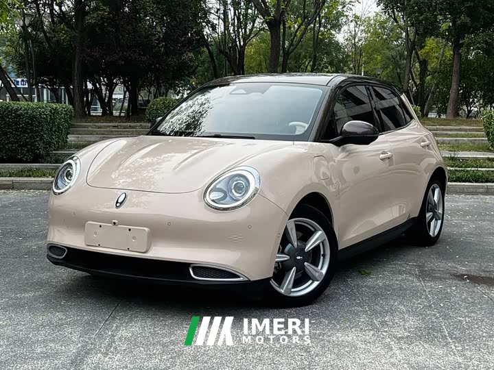 ORA Good Cat 400km Standard Range Athena Edition Ternary Lithium - ავტომობილი ჩინეთიდან