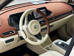ORA Good Cat 400km Standard Range Athena Edition Ternary Lithium - ფოტო 13