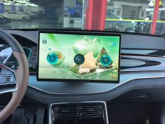 BYD Yuan Plus DM-i 2021 2.0T AWD High Performance Genesis Flagship - ფოტო 13