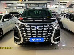 Denza BYD Denza D9 2024 DM-i 980 Four-Wheel Drive Premium - ფოტო 2